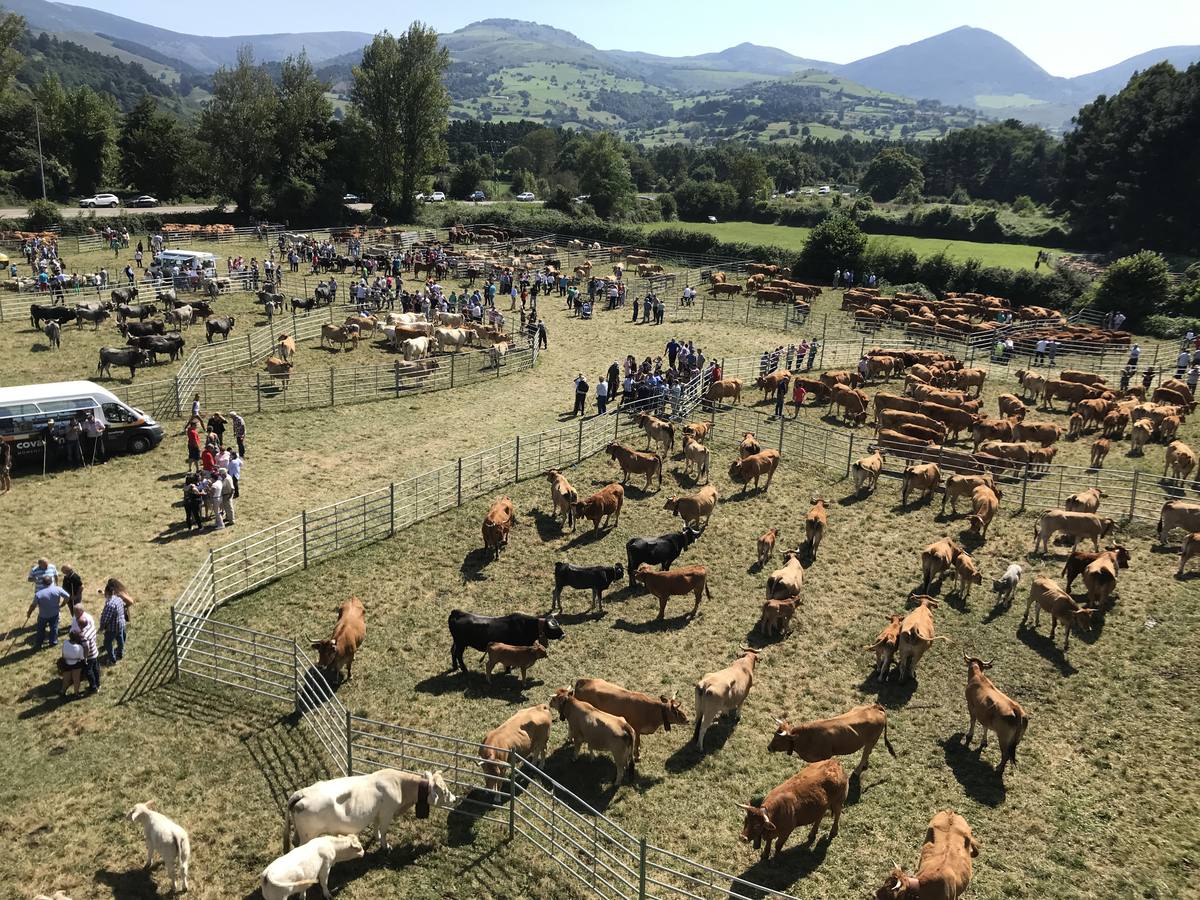 El municipio disfruta estos días de sus fiestas, entre las que destaca la tradicional feria ganadera, que atrajo a cientos de personas.