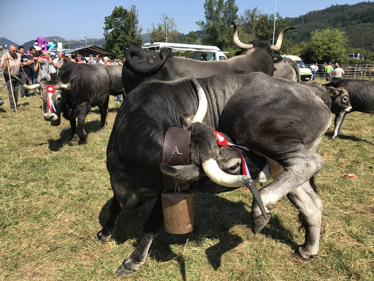 El municipio disfruta estos días de sus fiestas, entre las que destaca la tradicional feria ganadera, que atrajo a cientos de personas.