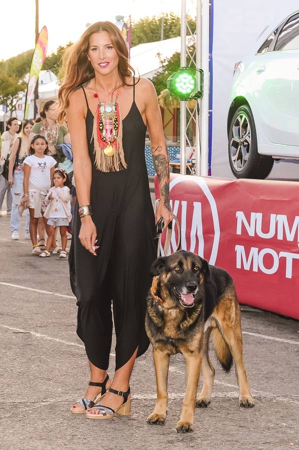 El desfile de perros. 