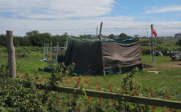 La plantación denunciada, en el barrio Corbanera de Monte. 