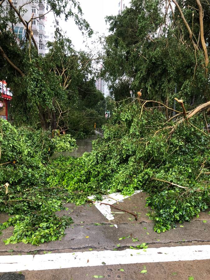 Fotos: Los destrozos del tifón Mangkhut