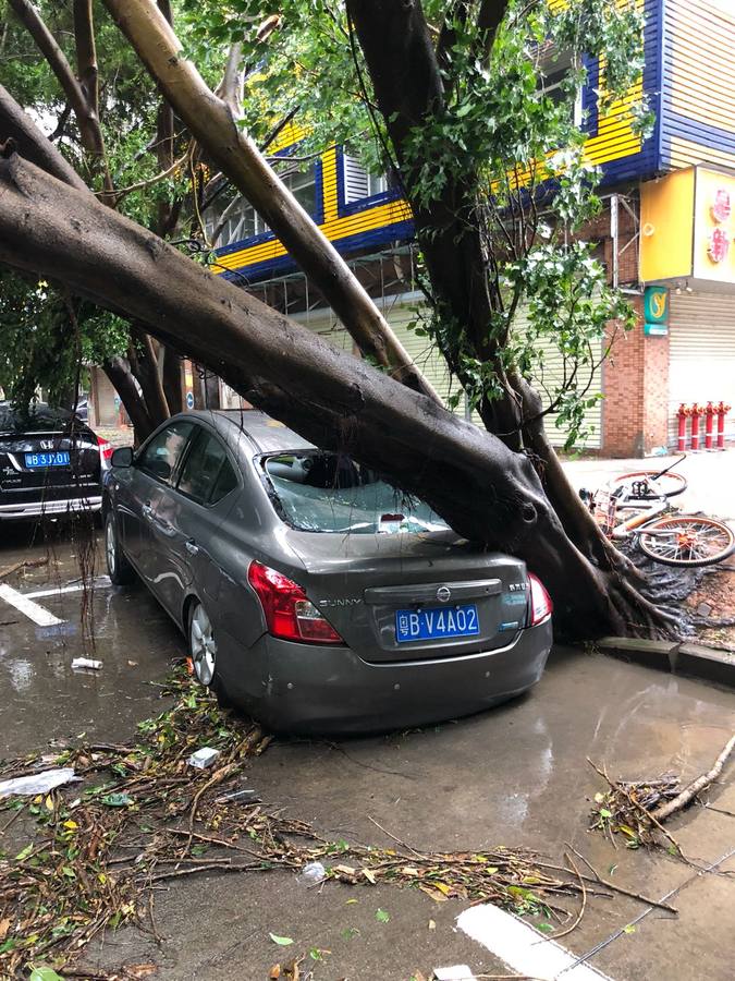 Fotos: Los destrozos del tifón Mangkhut