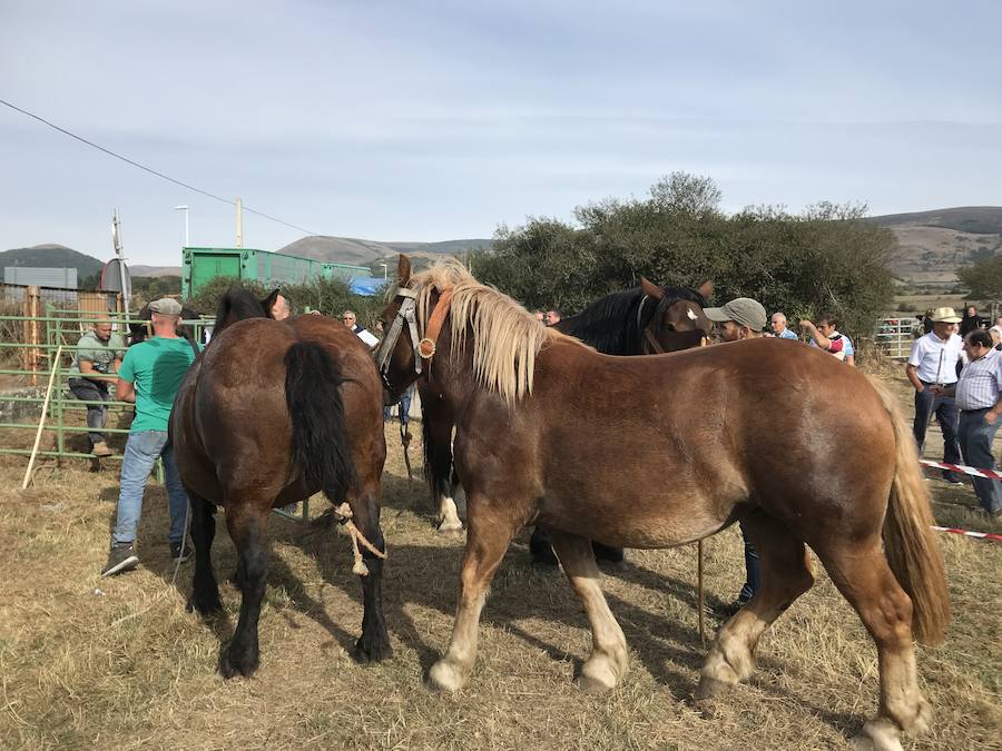 Fotos: Reinosa se sumerge en San Mateo