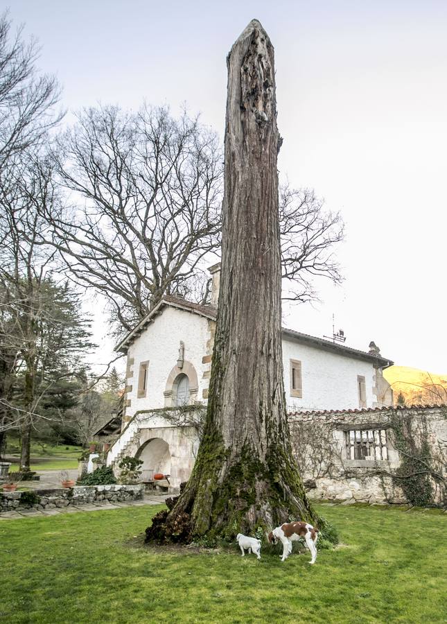 Fotos: Esles, elegido Pueblo de Cantabria 2018