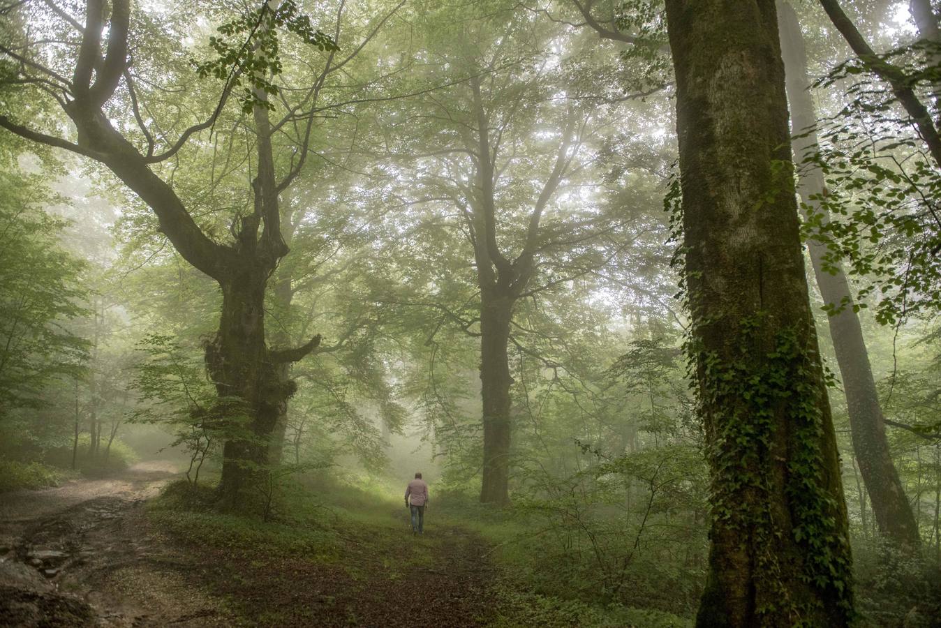 Fotos: Esles, elegido Pueblo de Cantabria 2018