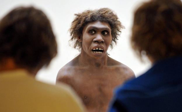 Recreación de un neandertal. 