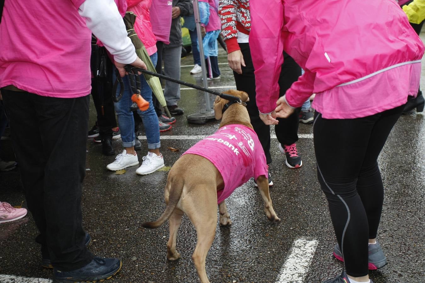 fOTOS: Luis Palomeque