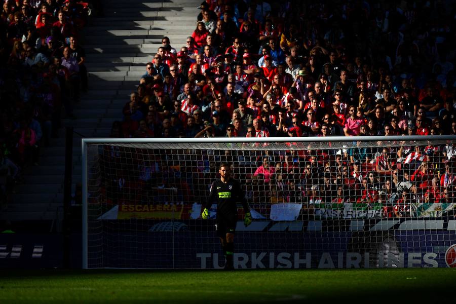 Fotos: Las mejores imágenes del Atlético de Madrid-Betis