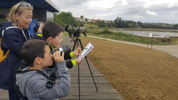 Las familias pudieron disfrutar de actividades enfocadas a conocer las aves. 