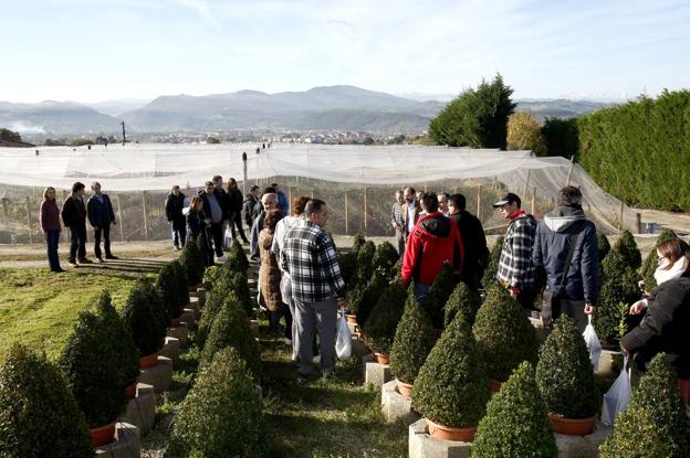 Las visitas guiadas que se organizan en el contexto de este aula tienen un punto de especial interés en los invernaderos del Serca. 