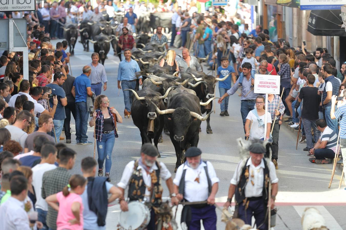 La Olimpiada del Tudanco de Cabezón de la Sal ha reunido este viernes en su XXXIX edición a 911 reses de 28 ganaderías que desfilarán por el centro del municipio en la 'gran pasá' con la que se conmemora un año más la tradicional bajada del ganado de los puertos de montaña.