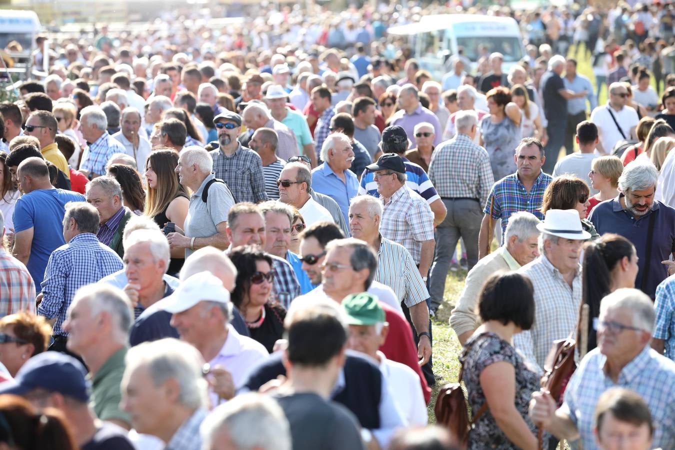 La Olimpiada del Tudanco de Cabezón de la Sal ha reunido este viernes en su XXXIX edición a 911 reses de 28 ganaderías que desfilarán por el centro del municipio en la 'gran pasá' con la que se conmemora un año más la tradicional bajada del ganado de los puertos de montaña.