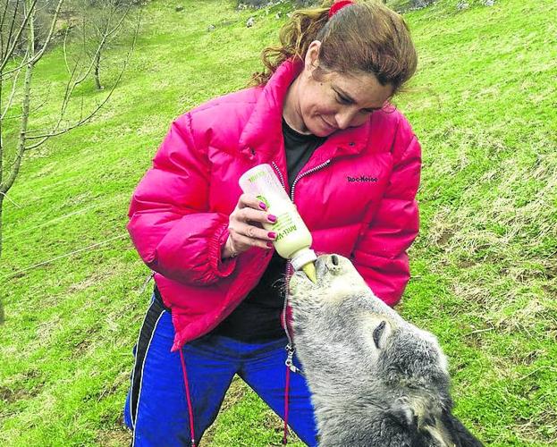 Nuria San Millán dando el biberón a su burrito en Miera.