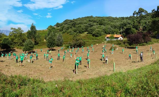 La plantación de árboles es una de las actividades que se celebran dentro del plan Provoca. 