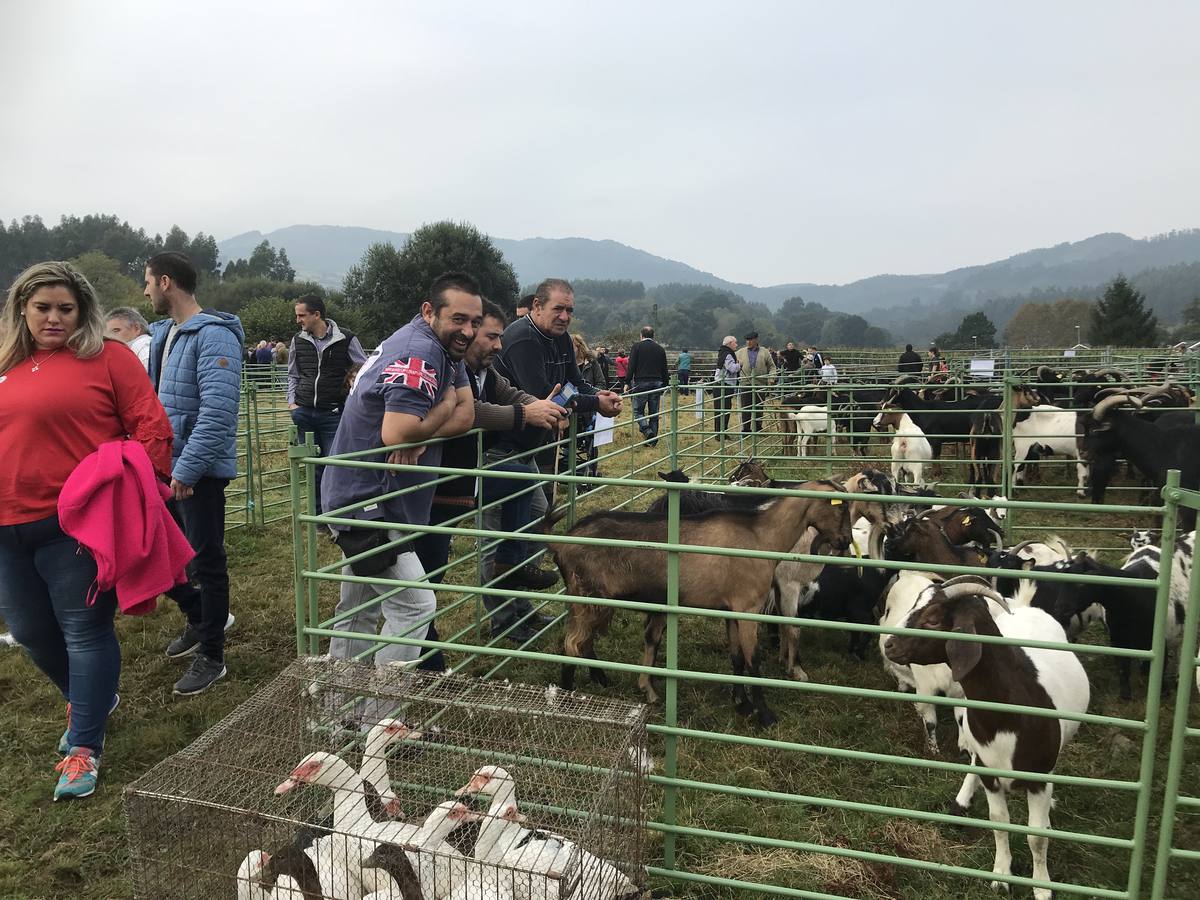 Fotos: La XXX Feria de Año en Guriezo