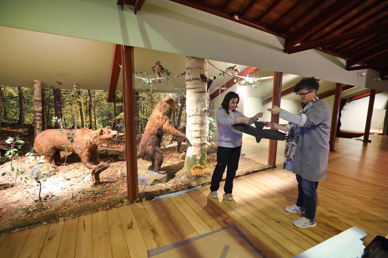 Fotos: Puesta a punto del renovado Museo de la Naturaleza de Carrejo