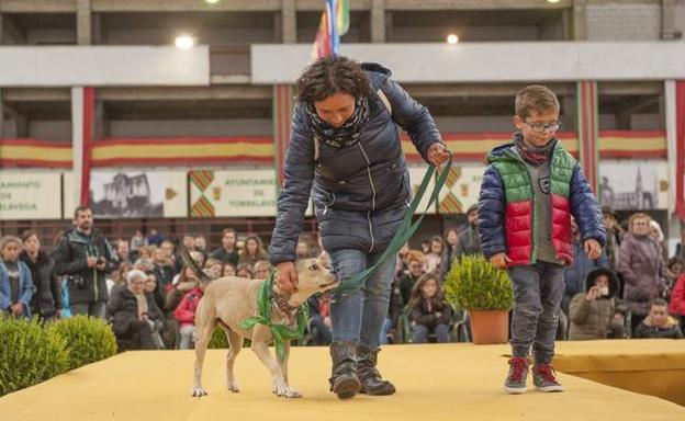 Día de perros en el Ferial