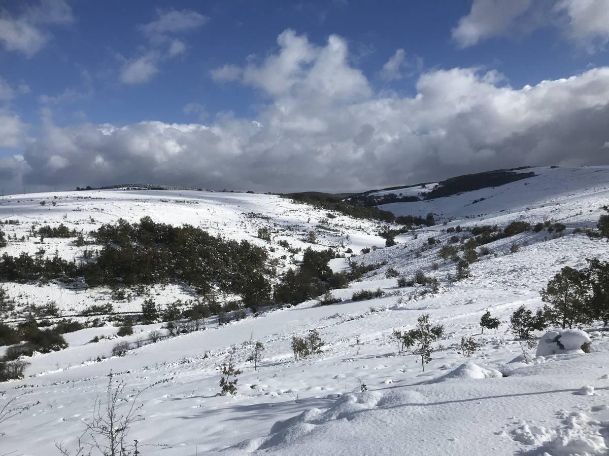 Las nevadas del fin de semana dejan impresionantes imágenes de pueblos teñidos de blanco en el sur de Cantabria. Desde Arroyo a Bustasur, un recorrido por estos paisajes de un invierno adelantado