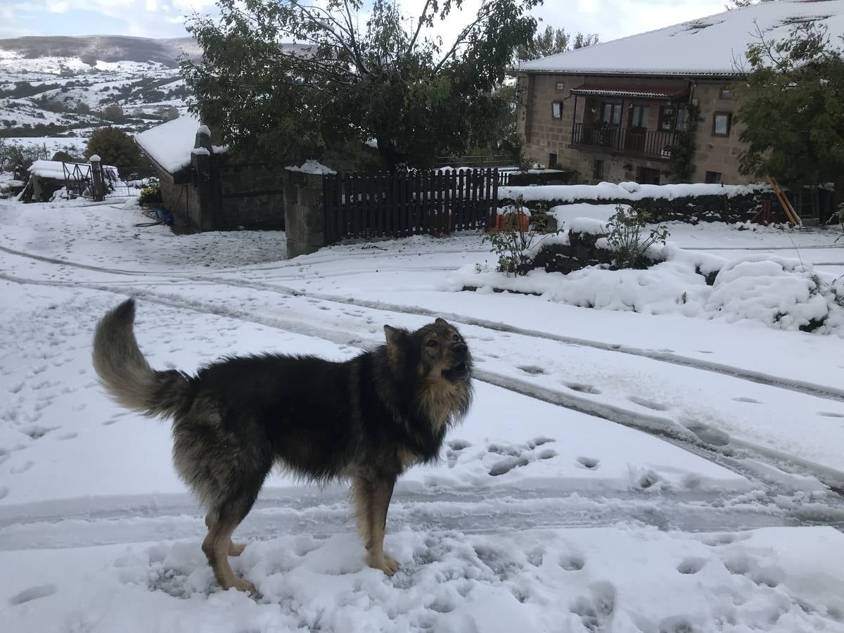 Las nevadas del fin de semana dejan impresionantes imágenes de pueblos teñidos de blanco en el sur de Cantabria. Desde Arroyo a Bustasur, un recorrido por estos paisajes de un invierno adelantado