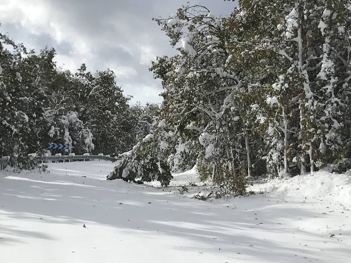 Las nevadas del fin de semana dejan impresionantes imágenes de pueblos teñidos de blanco en el sur de Cantabria. Desde Arroyo a Bustasur, un recorrido por estos paisajes de un invierno adelantado