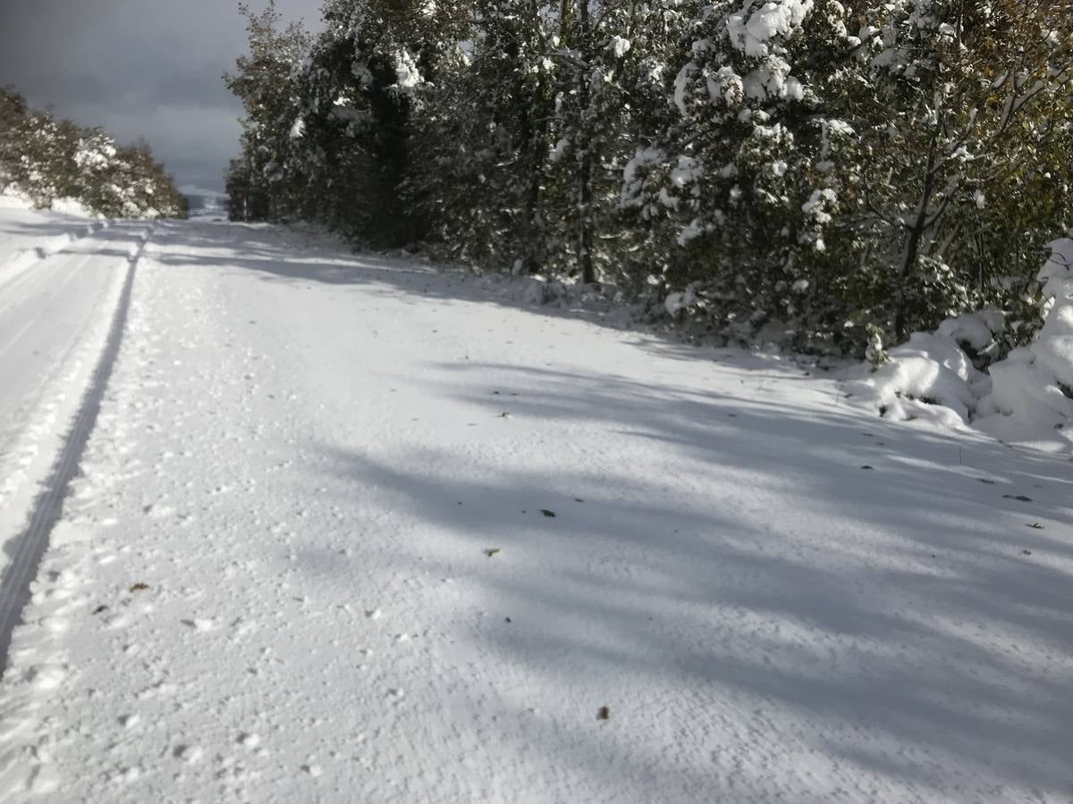 Las nevadas del fin de semana dejan impresionantes imágenes de pueblos teñidos de blanco en el sur de Cantabria. Desde Arroyo a Bustasur, un recorrido por estos paisajes de un invierno adelantado