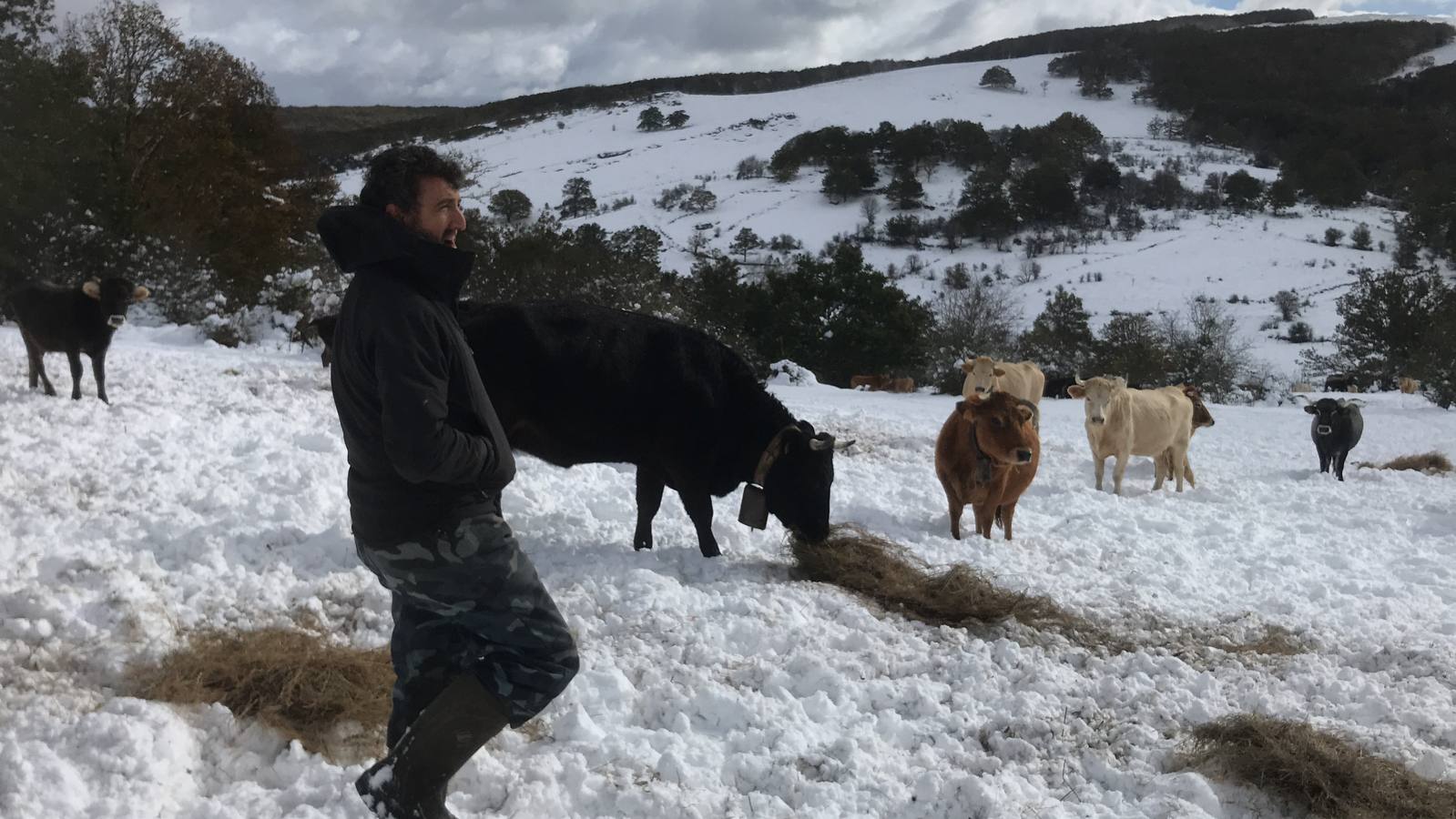 Las nevadas del fin de semana dejan impresionantes imágenes de pueblos teñidos de blanco en el sur de Cantabria. Desde Arroyo a Bustasur, un recorrido por estos paisajes de un invierno adelantado