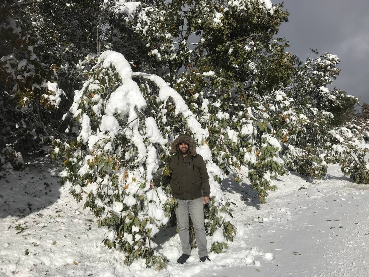 Las nevadas del fin de semana dejan impresionantes imágenes de pueblos teñidos de blanco en el sur de Cantabria. Desde Arroyo a Bustasur, un recorrido por estos paisajes de un invierno adelantado