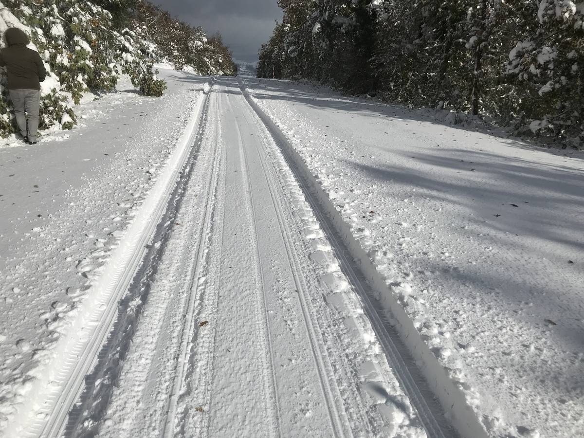 Las nevadas del fin de semana dejan impresionantes imágenes de pueblos teñidos de blanco en el sur de Cantabria. Desde Arroyo a Bustasur, un recorrido por estos paisajes de un invierno adelantado