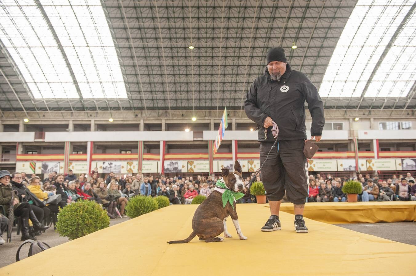 Fotos: Feria de Adopción Responsable &#039;Ciudad de Torrelavega&#039;