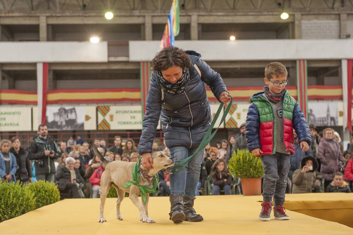 Fotos: Feria de Adopción Responsable &#039;Ciudad de Torrelavega&#039;