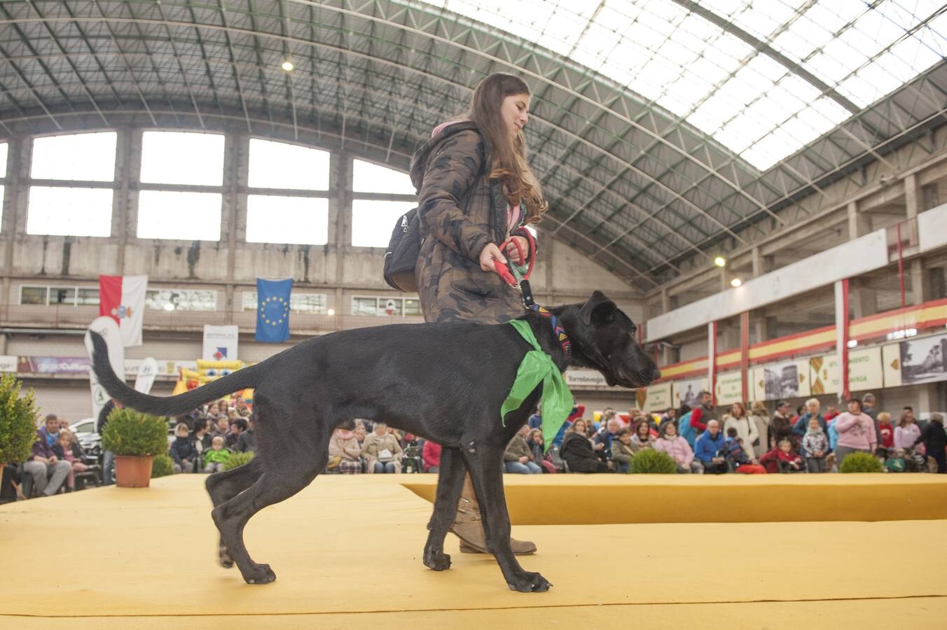 Fotos: Feria de Adopción Responsable &#039;Ciudad de Torrelavega&#039;