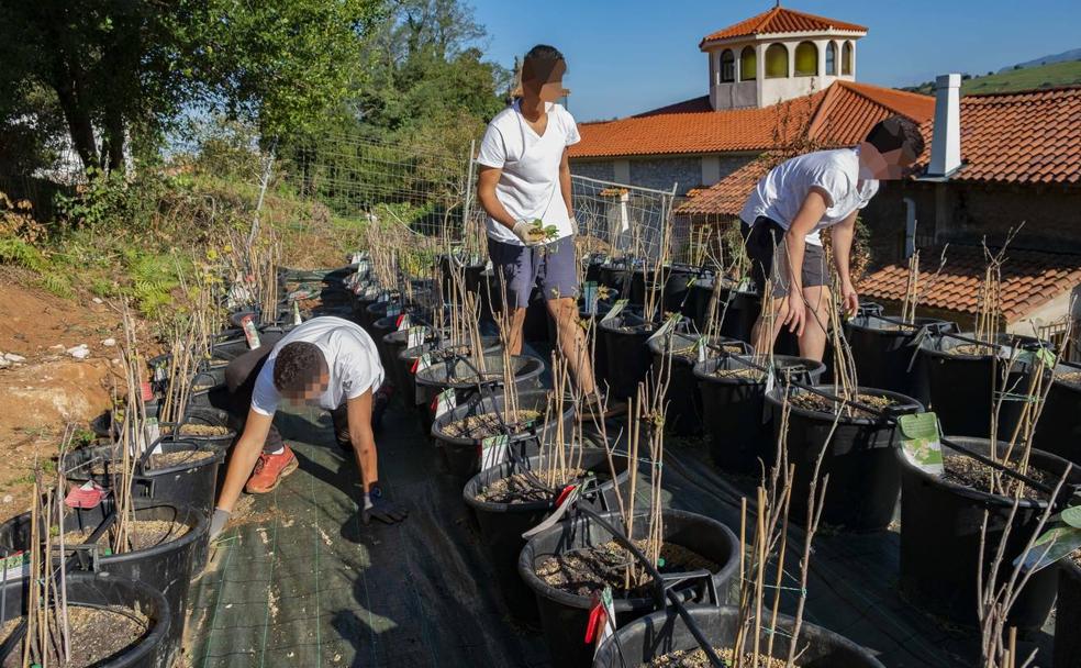 Los jóvenes del centro han convertido una zona degradada en un huerto ecológico. 