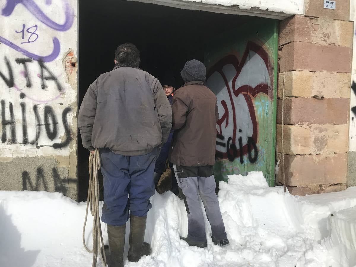 Fotos: Nieve en el puerto de Palombera