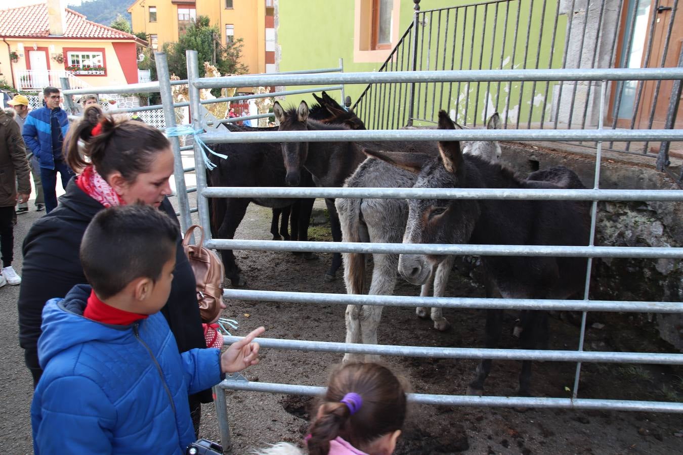 Fotos: Feria de Todos los Santos en Arredondo