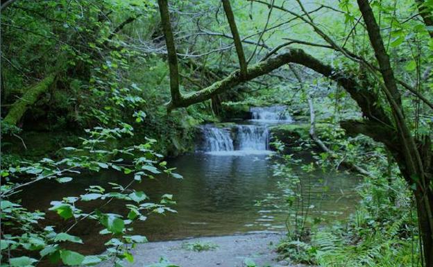 Cascada del sendero fluvial de la Canal de las Tejeras.