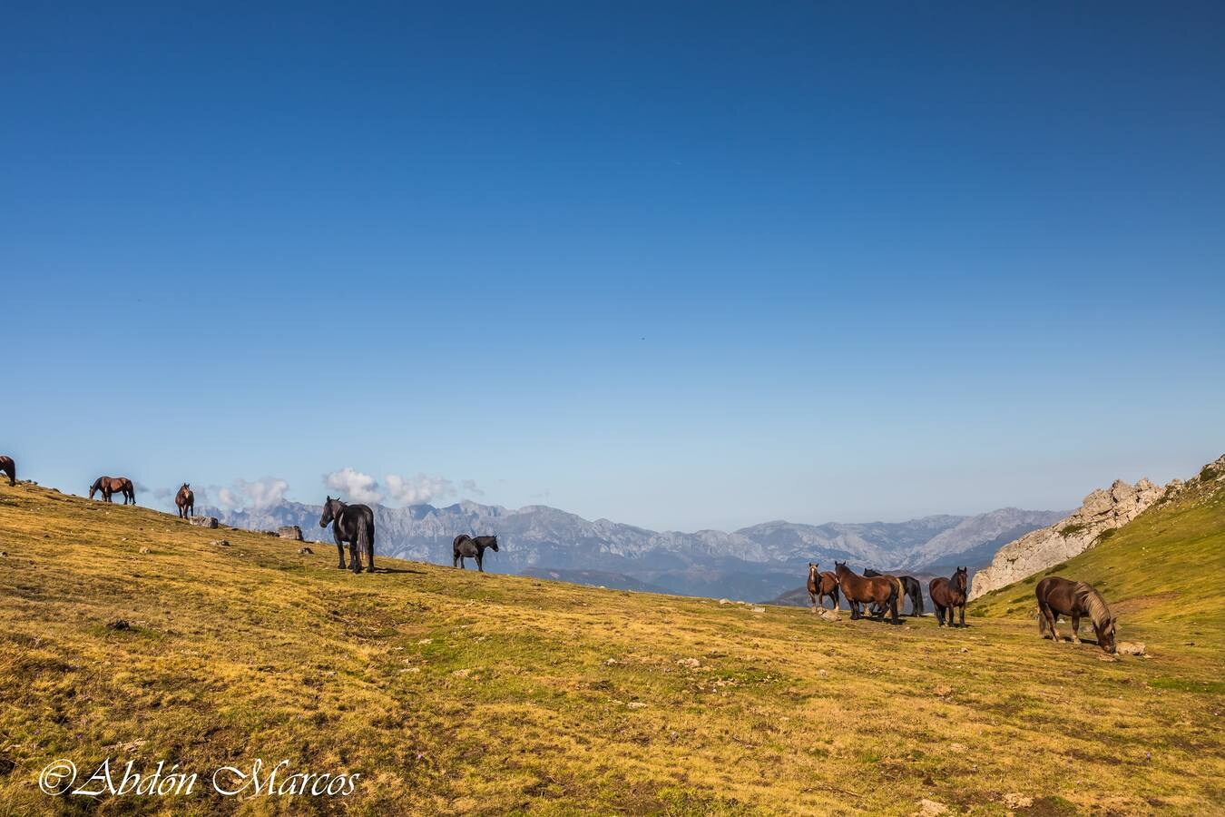 Fotos: Ruta Cucayo-Los Llares- Ladera del Pumar- Cucayo