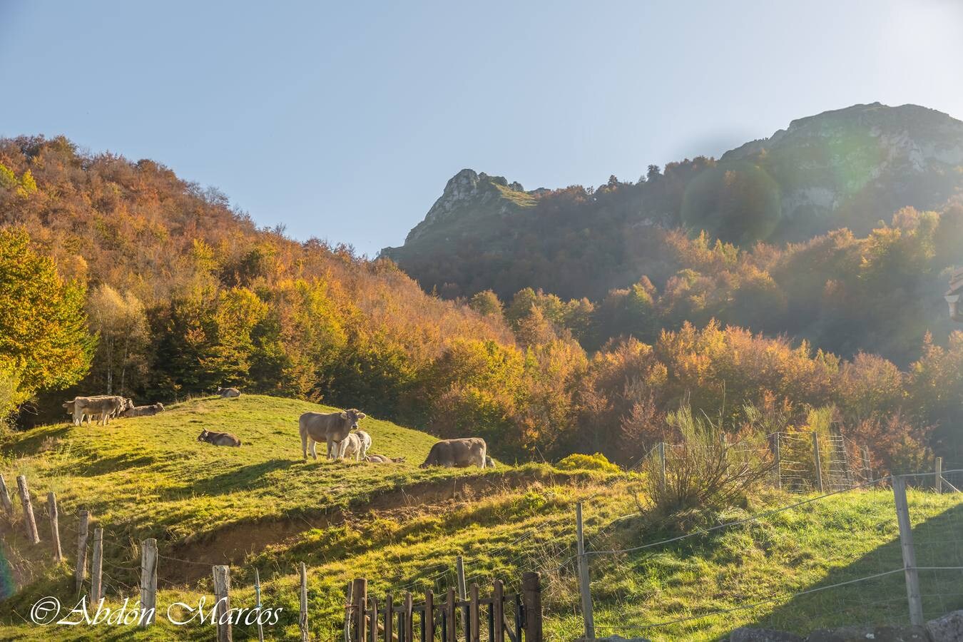 Fotos: Ruta Cucayo-Los Llares- Ladera del Pumar- Cucayo