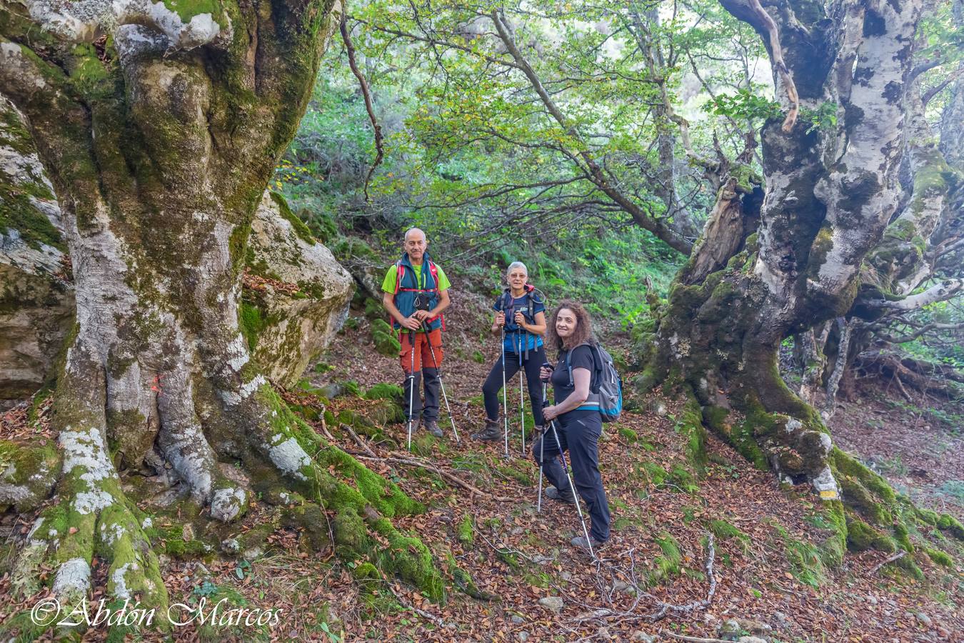 Fotos: Ruta Cucayo-Los Llares- Ladera del Pumar- Cucayo