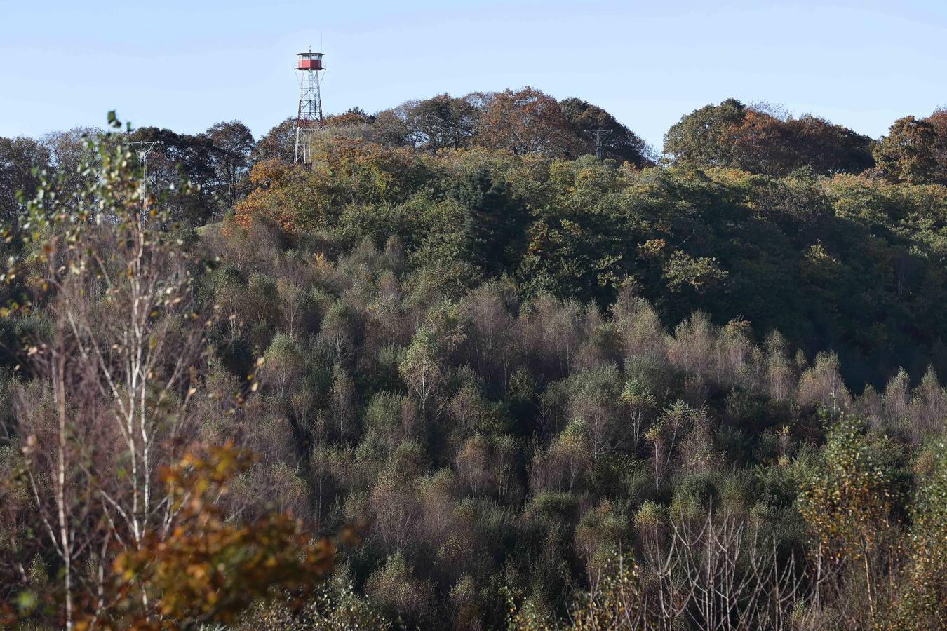 El otoño ya se deja sentir en los paisajes cántabros, que lucen transformados por esta época del año. Parajes como la Reserva del Saja, el Monte Corona, Los Tojos o Cabezón de la Sal lucen ya con los colores del otoño.