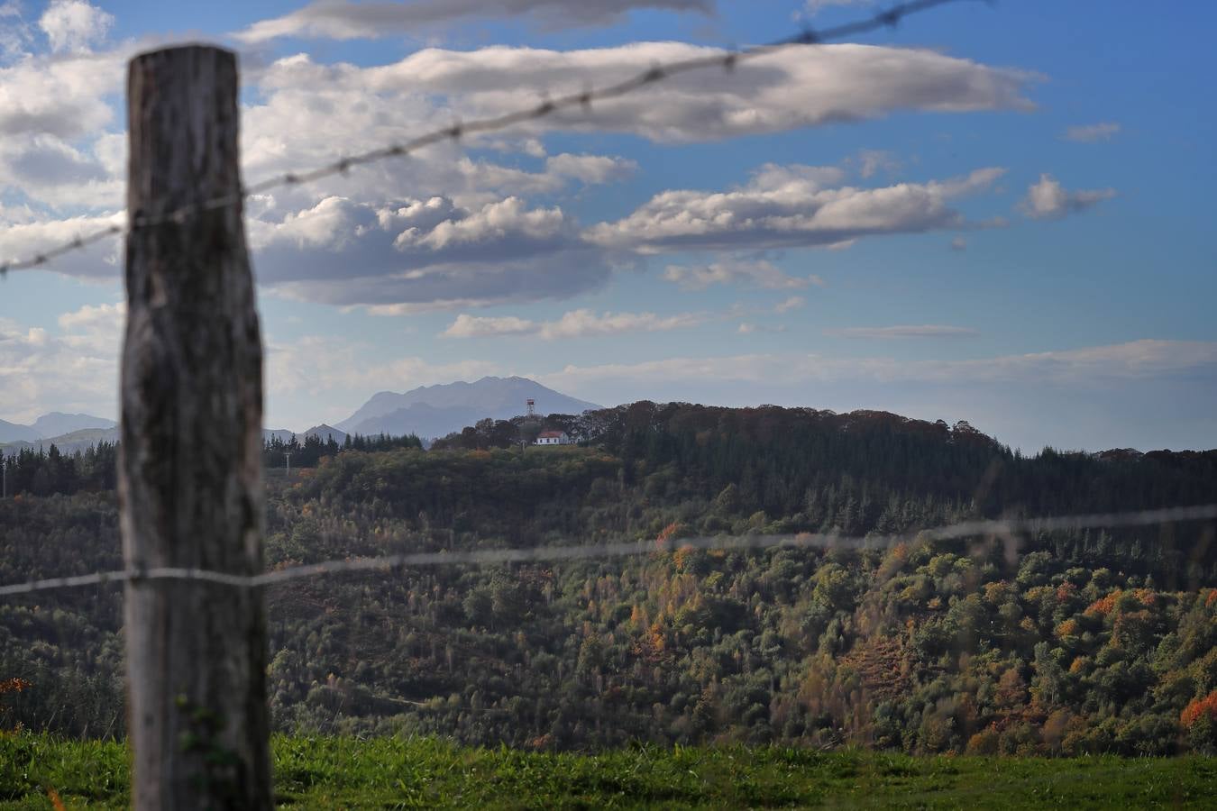 El otoño ya se deja sentir en los paisajes cántabros, que lucen transformados por esta época del año. Parajes como la Reserva del Saja, el Monte Corona, Los Tojos o Cabezón de la Sal lucen ya con los colores del otoño.