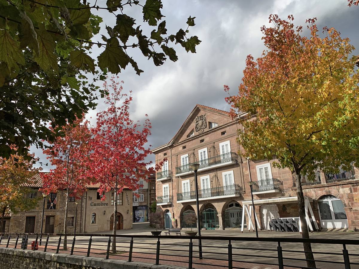 El otoño ya se deja sentir en los paisajes cántabros, que lucen transformados por esta época del año. Parajes como la Reserva del Saja, el Monte Corona, Los Tojos o Cabezón de la Sal lucen ya con los colores del otoño.