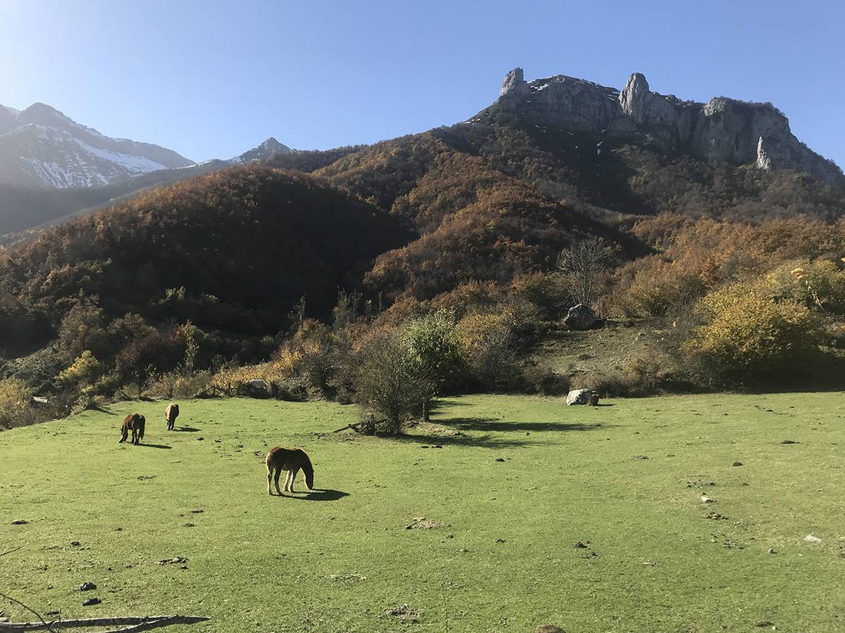 La ruta es ideal para gente que no se ve capacitada para meterse en alta montaña y lo que busca es dar un buen paseo