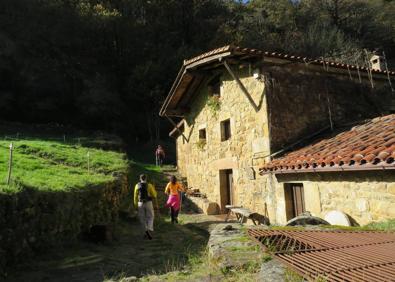 Imagen secundaria 1 - Arriba, los senderistas bajando a Llerana. Abajo, pasando por el molino de Rubionzo y durante un momento de la ruta. 