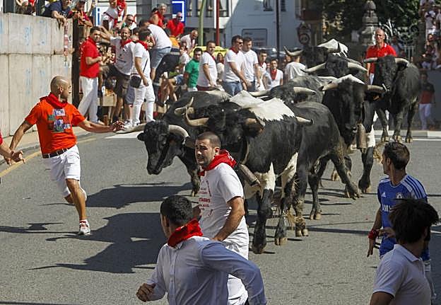 Tres corredores, delante de los novillos en uno de los encierros de este año. 