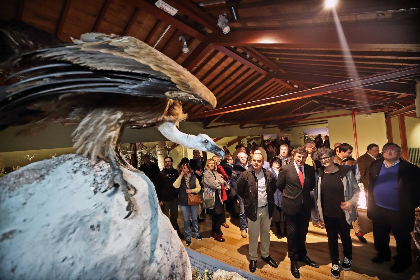 Fotos: Reabierto el Museo de la Naturaleza tras su reforma