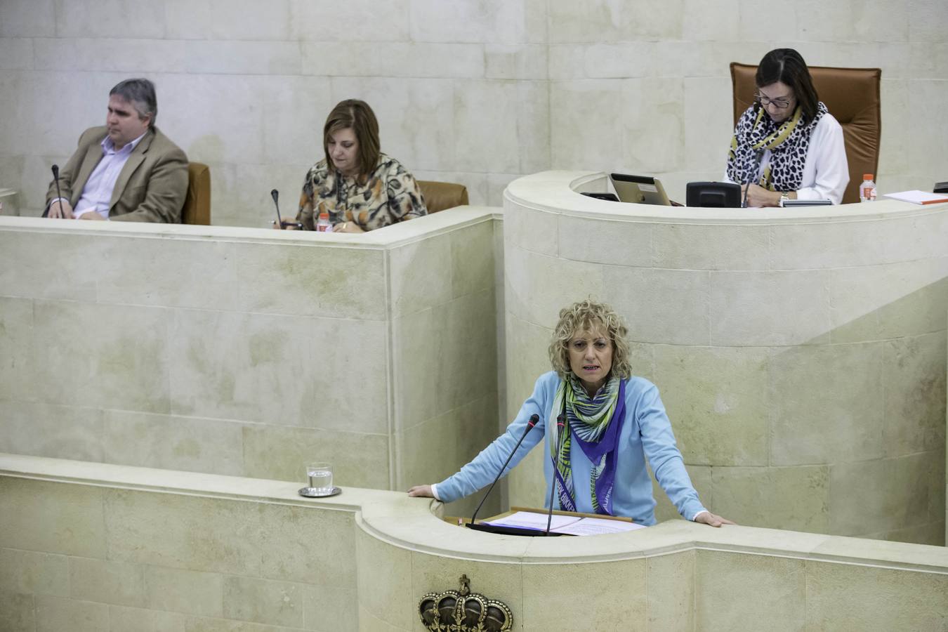 Fotos: Pleno del Parlamento de Cantabria para debatir el proyecto de Ley de derechos de las personas con discapacidad