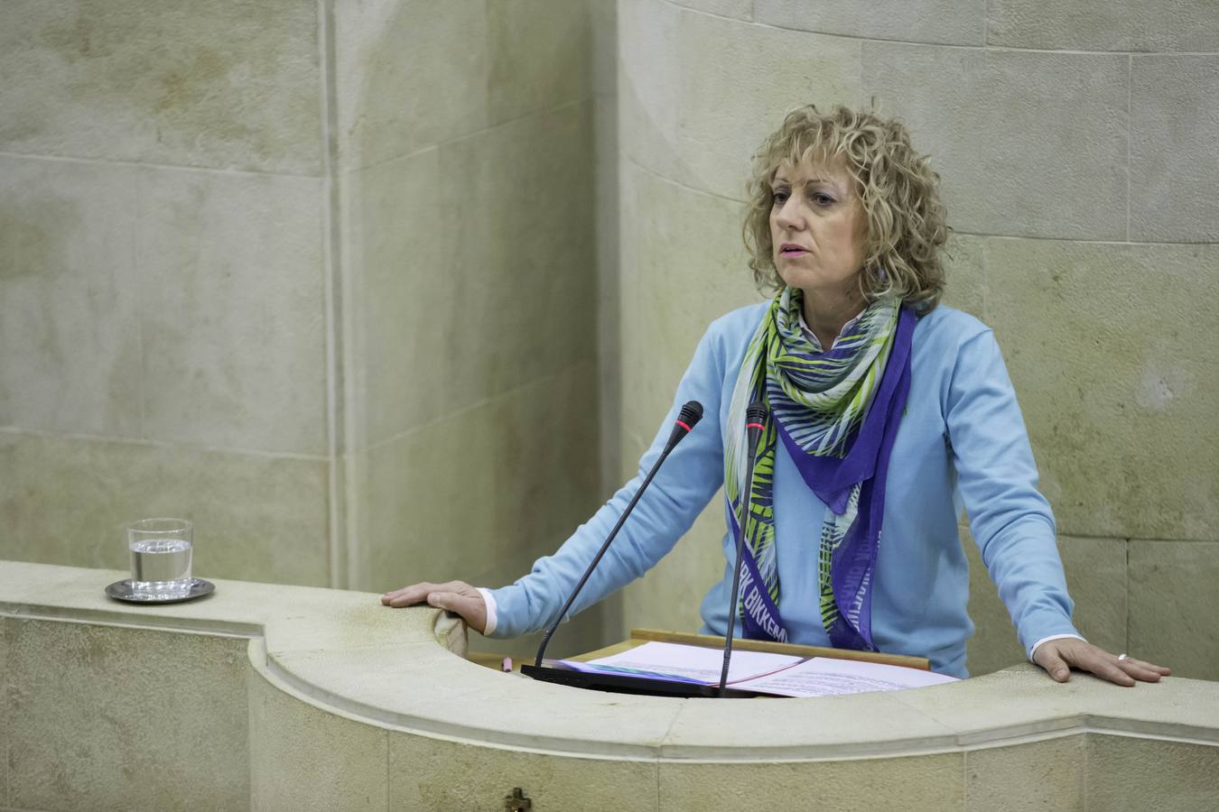 Fotos: Pleno del Parlamento de Cantabria para debatir el proyecto de Ley de derechos de las personas con discapacidad