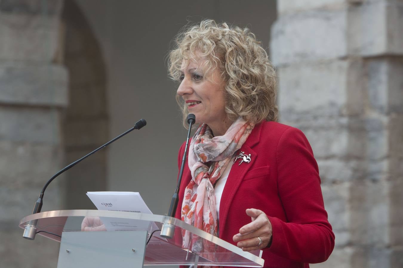 El Parlamento de Cantabria acoge los actos conmemorativos del Día Internacional y Europeo de las personas con discapacidad. Organizados por el Comité de Entidades representantes de Personas con Discapacidad de Cantabria (CERMI Cantabria), el evento congrega a personas con discapacidad y sus familias, voluntarios, profesionales y representantes de las instituciones y entidades de la región.