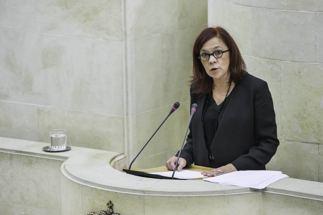 Fotos: Primer pleno de diciembre