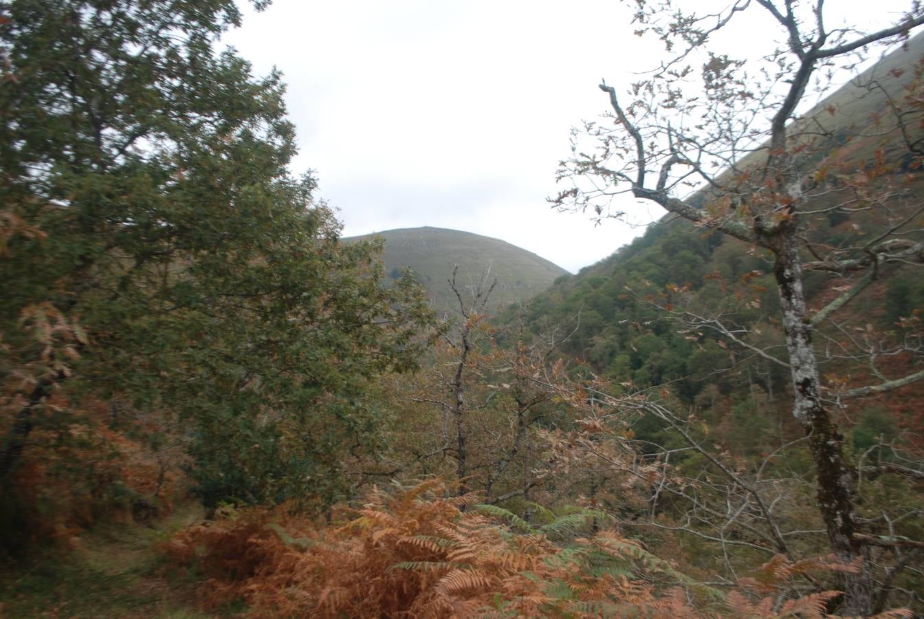 El Grupo de Montaña Cacicedo nos enseña este recorrido por el corazón del municipio de Cabuérniga